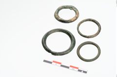Foto von Bronzering (NHMW-PRAE-025418)